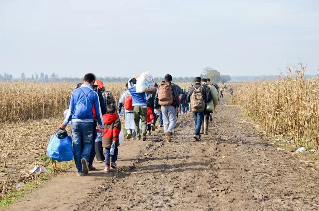 Immigration Counseling Service photo 2