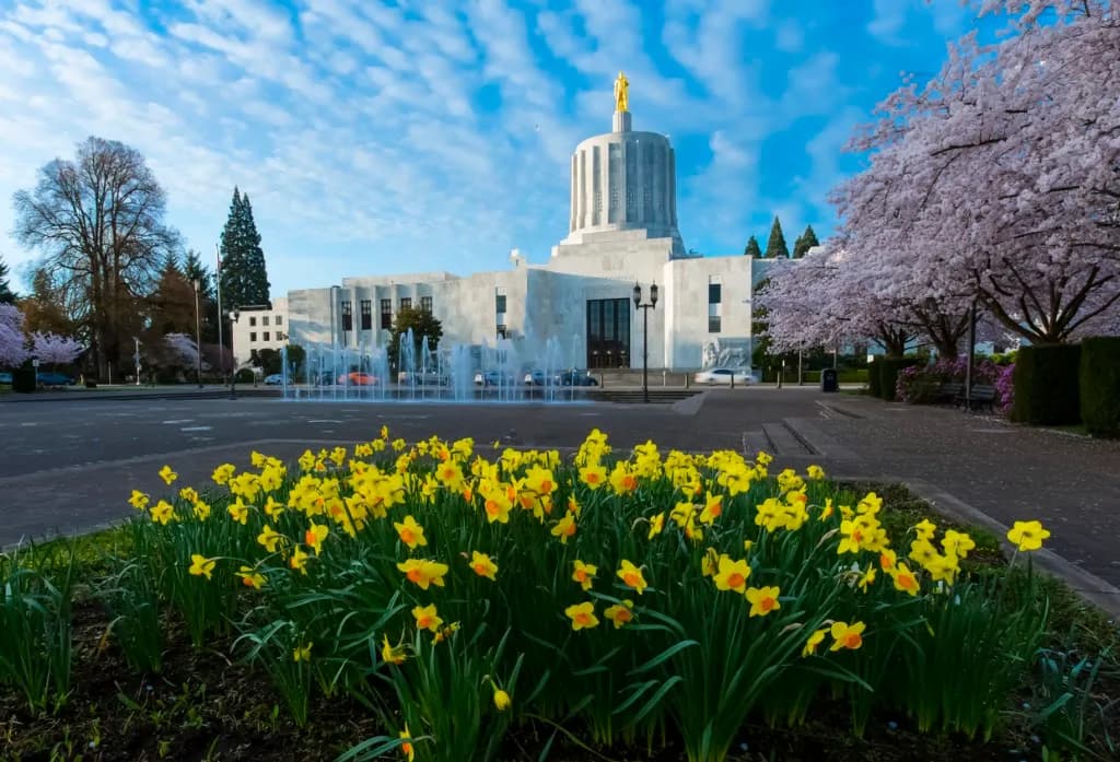 Kent Anderson Law Office — attorney in Eugene, OR