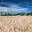 Marion County Assessor — attorney in Salem, OR