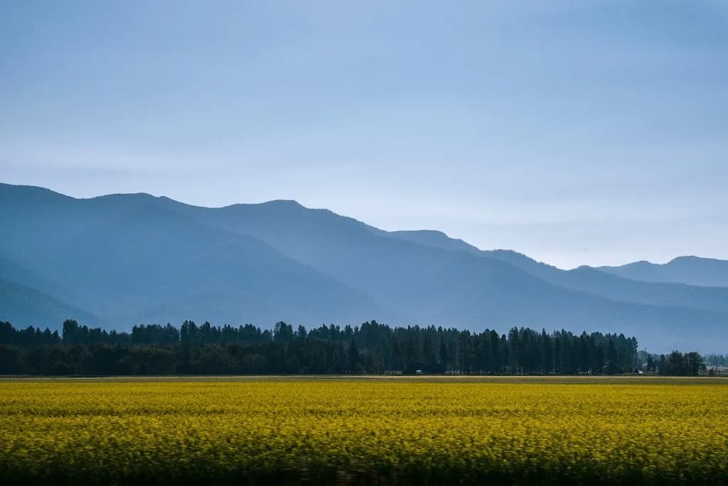 Andrew Pierce, Attorney at Law — attorney in Missoula, MT
