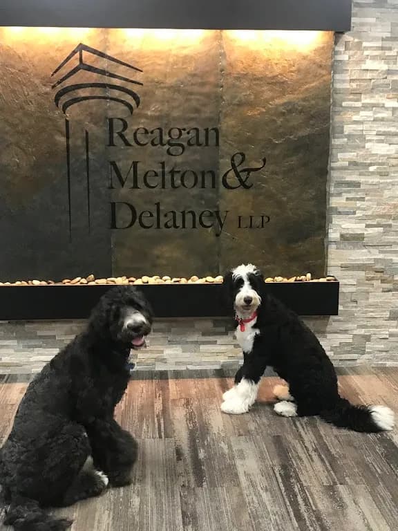 Reagan, Melton & Delaney, L.L.P. — attorney in Bellevue, NE