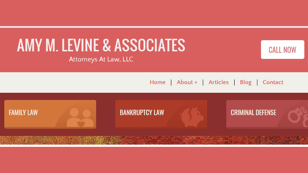 Amy M. Levine & Associates, Attorneys at Law, LLC — attorney in Huntington, WV