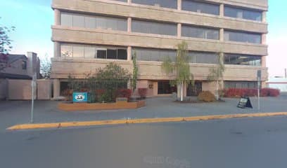 Atkinson Conway & Gagnon Inc — attorney in Anchorage, AK