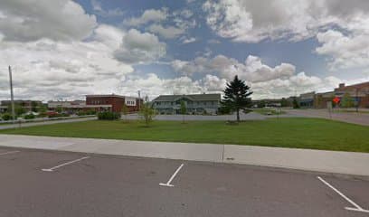 Drislane Law Office, PLC — attorney in Williston, VT