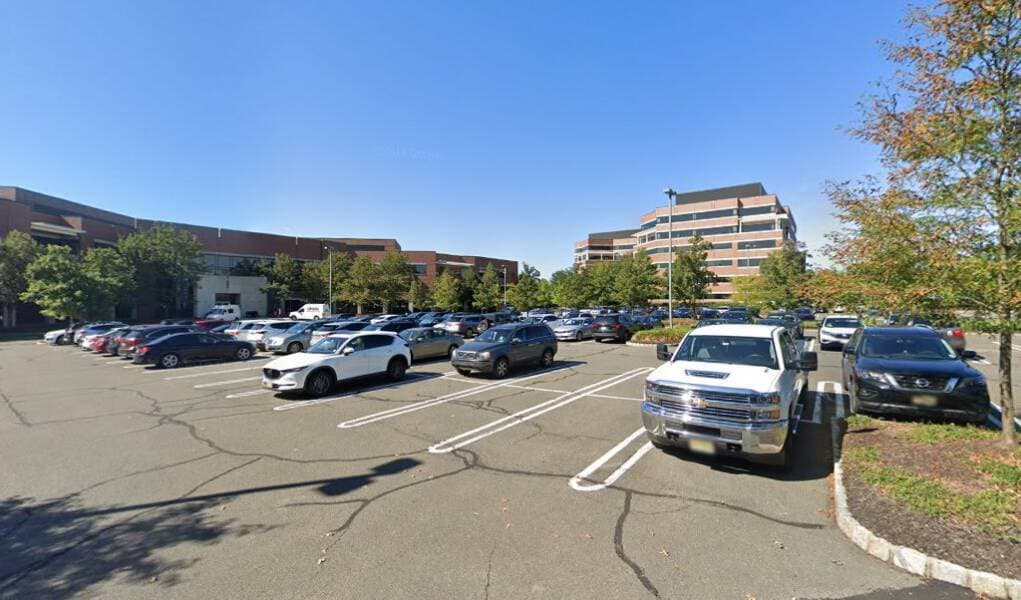 Morgan Lewis & Bockius: Linthorst Tom — attorney in Princeton, NJ