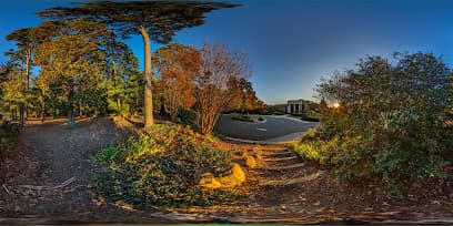 University of North Carolina School of Law — attorney in Chapel Hill, NC