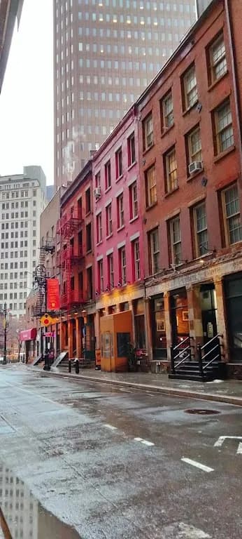 New York Legal Assistance Group — attorney in New York, NY