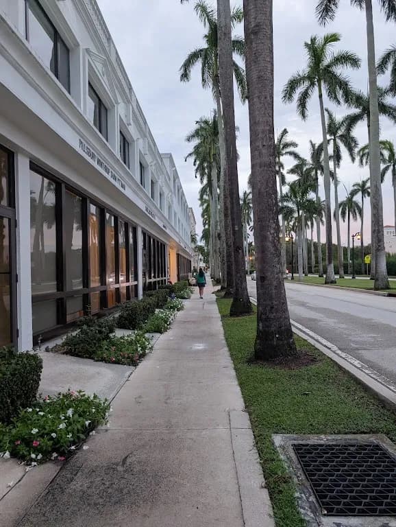 Pillsbury Winthrop Shaw Pittman — attorney in Palm Beach, FL