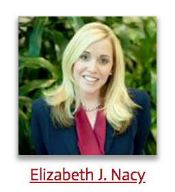 Divorce lawyer lawyer in Michigan, USA