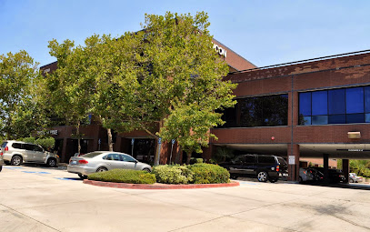 Civil Litigation Lawyer in California, USA