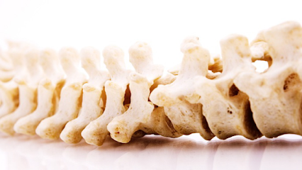Chiropractor attorney in Wisconsin, USA