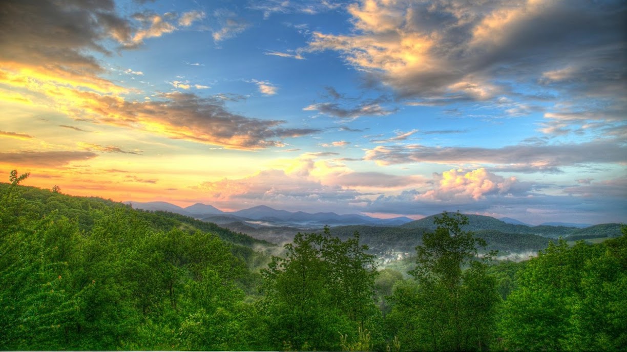 Civil Litigation Lawyer in North Carolina, USA