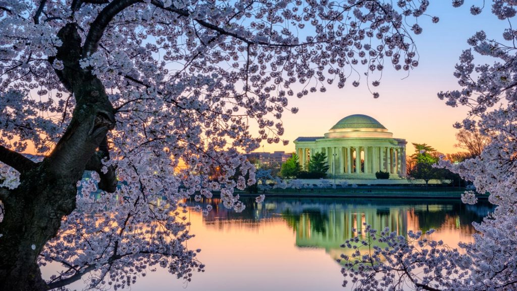Immigration Lawyer in Virginia, USA