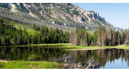 Personal injury attorney lawyer in Wyoming, USA