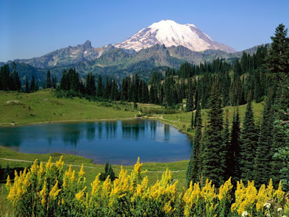 Bankruptcy lawyer in Oregon, USA
