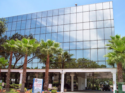 Bankruptcy lawyer in Florida, USA