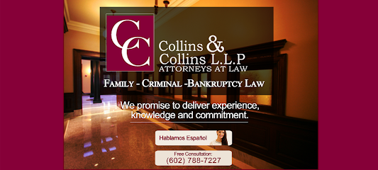 Civil Litigation Lawyer in Arizona, USA