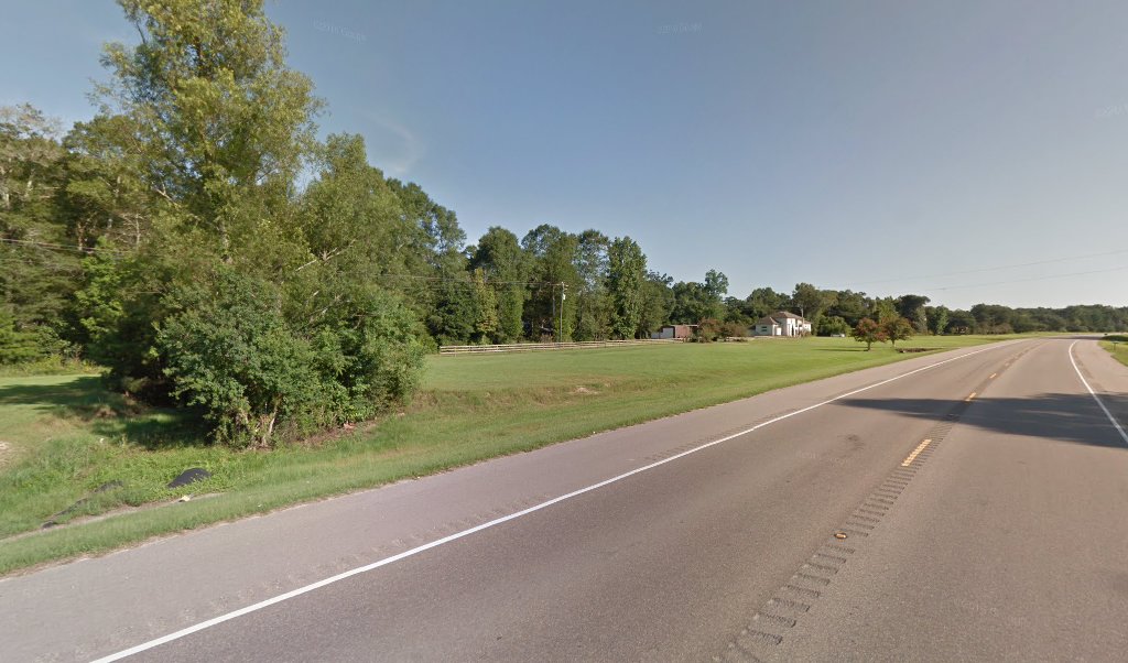 Civil Litigation Lawyer in Louisiana, USA