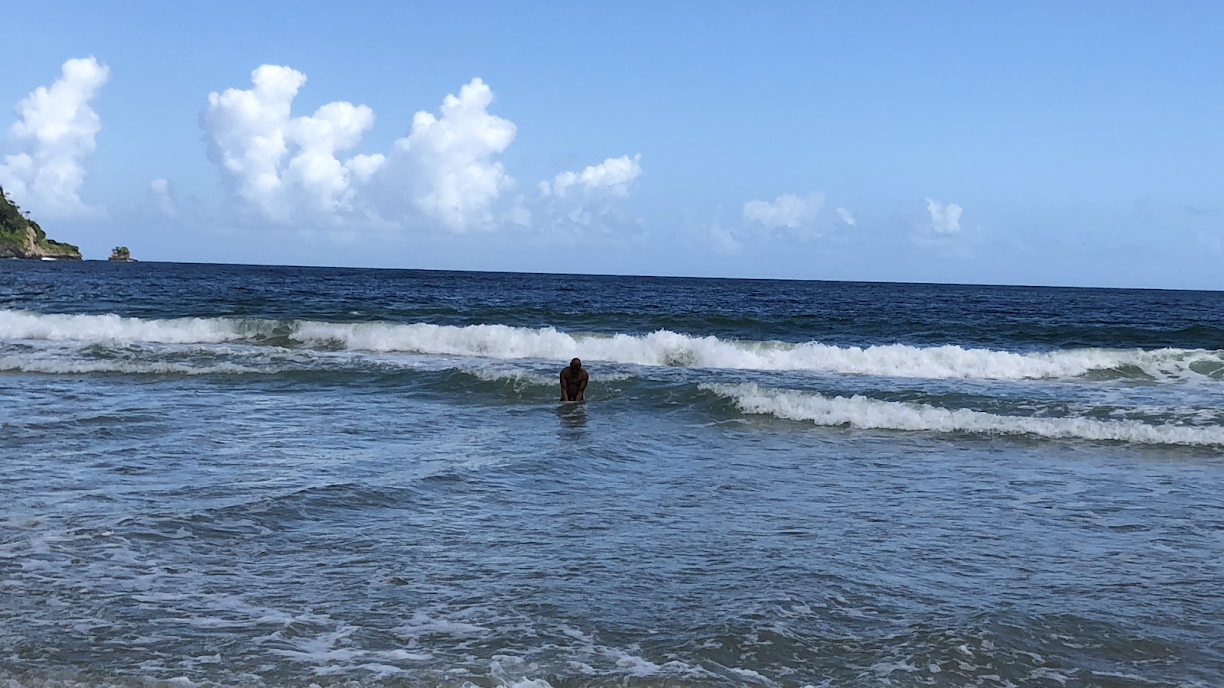 Immigration Lawyer in Florida, USA