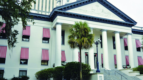 Civil Litigation Lawyer in Florida, USA
