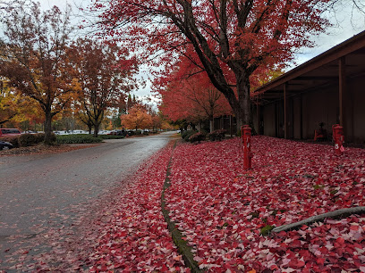 Corporate office attorney in Oregon, USA