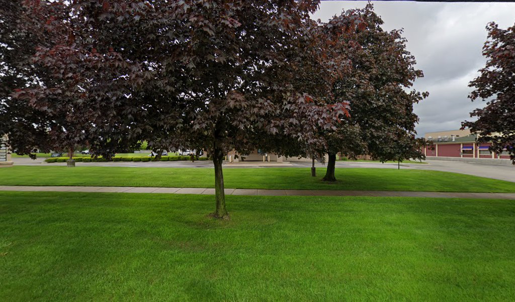 Immigration Lawyer in Michigan, USA