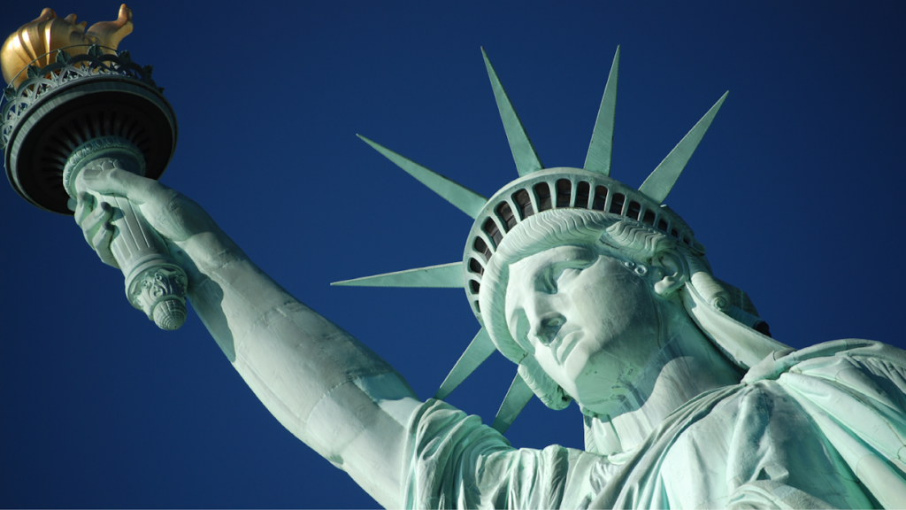 Immigration Lawyer in Georgia, USA
