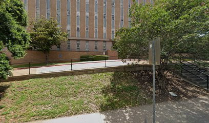 Government office lawyer in Texas, USA