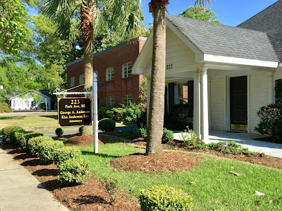 Immigration Lawyer in South Carolina, USA