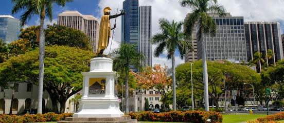 Employment attorney lawyer in Hawaii, USA