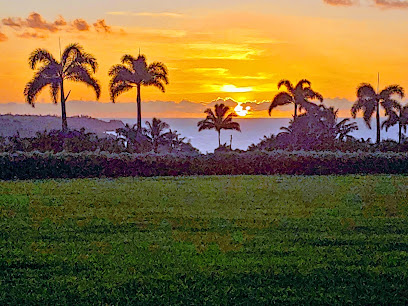 Law firm lawyer in Hawaii, USA