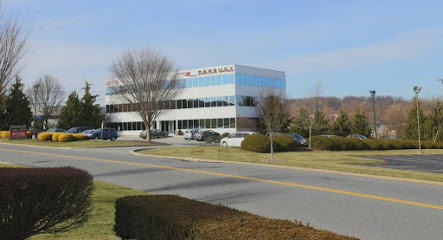 Bankruptcy lawyer in Delaware, USA