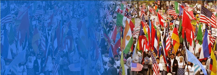 Immigration Lawyer in Michigan, USA