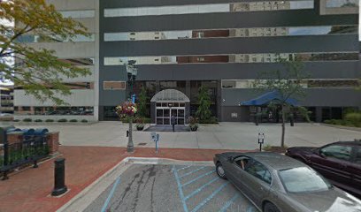 Law firm lawyer in Michigan, USA