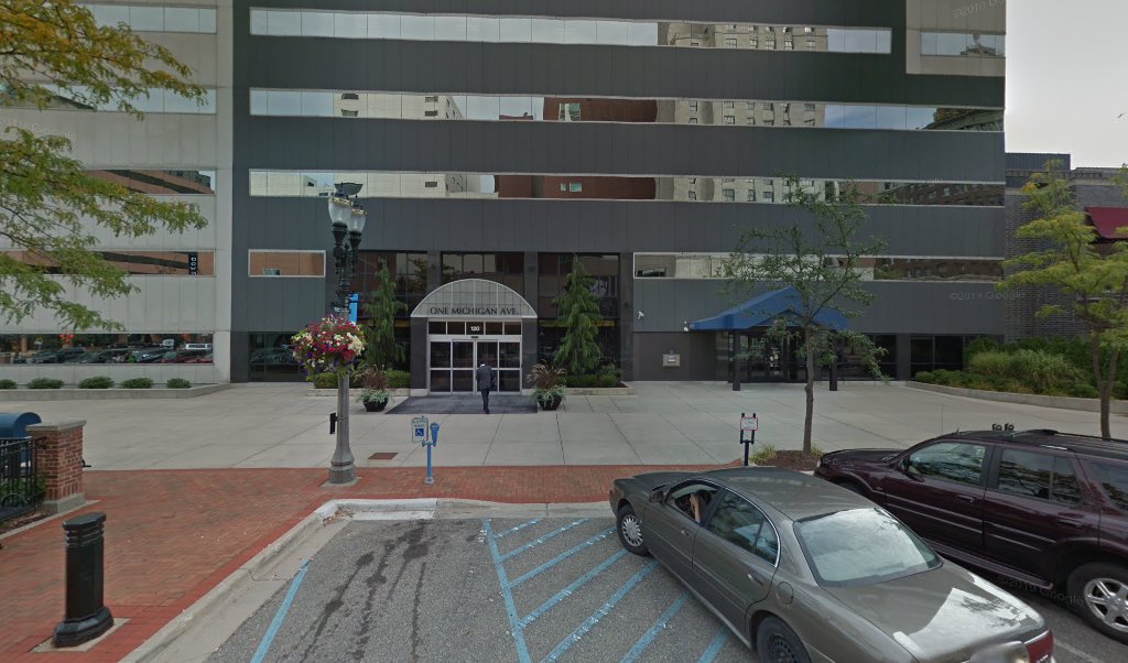 Civil Litigation Lawyer in Michigan, USA