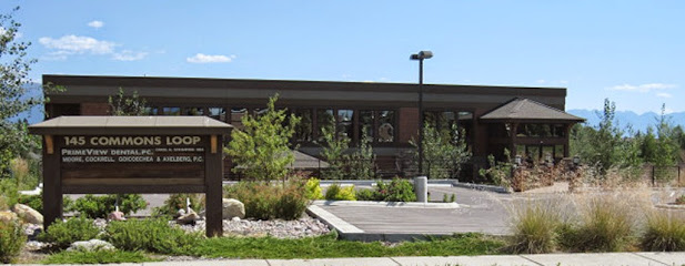 Civil Litigation Lawyer in Montana, USA