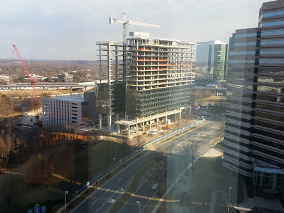 Legal services lawyer in Virginia, USA