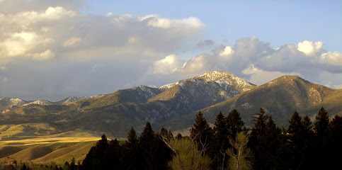 Bankruptcy lawyer in Montana, USA