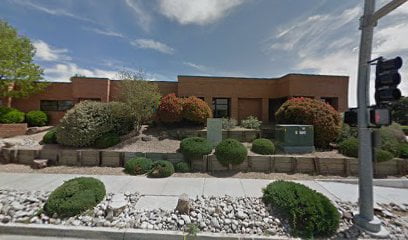 Law firm lawyer in New Mexico, USA