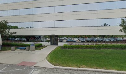 Civil law attorney lawyer in Michigan, USA