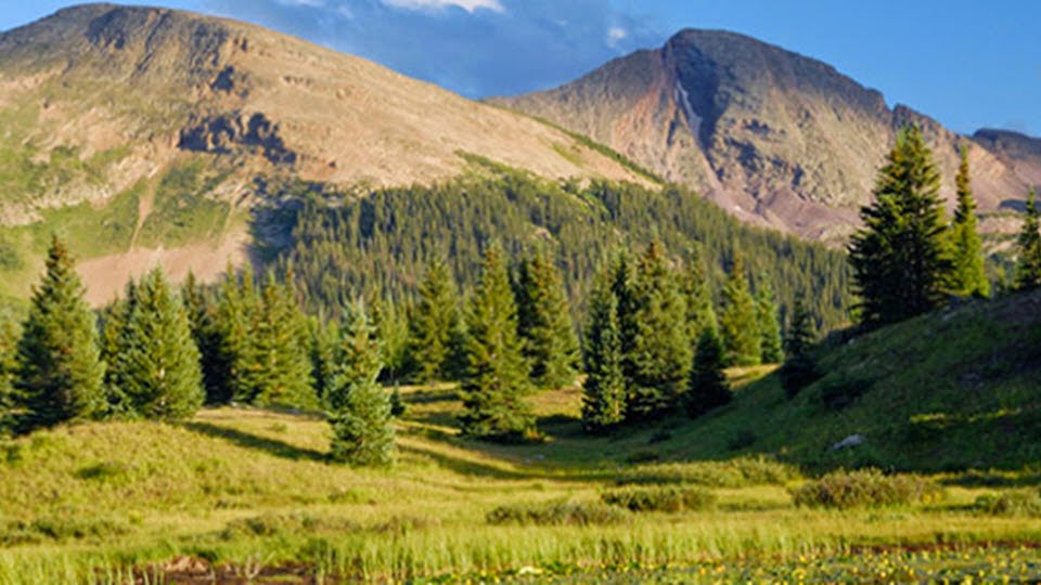Bankruptcy lawyer in Colorado, USA