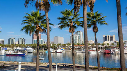 Civil Litigation Lawyer in California, USA