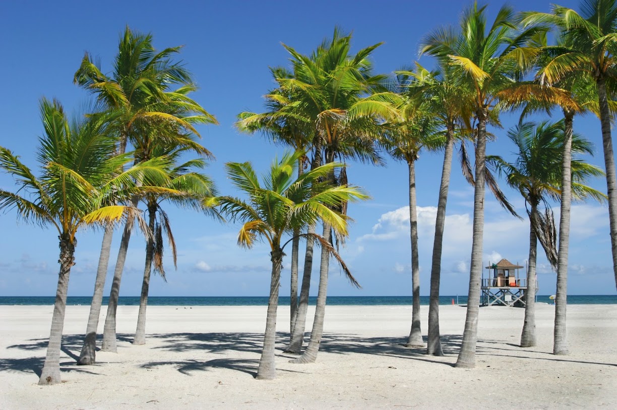 Bankruptcy lawyer in Florida, USA