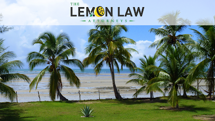 Legal services lawyer in Texas, USA