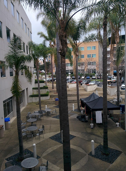 Law school lawyer in California, USA