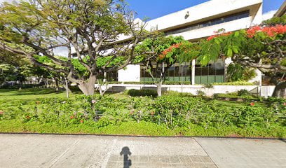 Federal government office lawyer in Hawaii, USA
