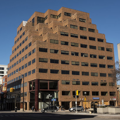 Law firm lawyer in Michigan, USA