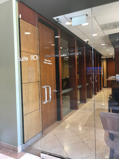 Civil Litigation Lawyer in California, USA
