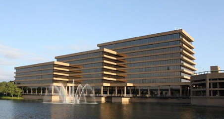 Immigration & naturalization service lawyer in Texas, USA
