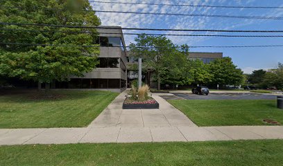 Law firm lawyer in Illinois, USA